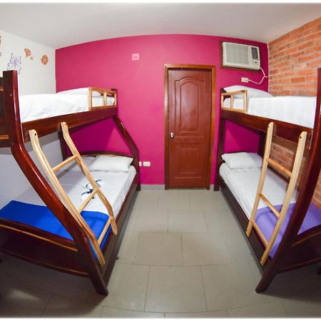 Hotel Olympus Монтаньита Номер фото